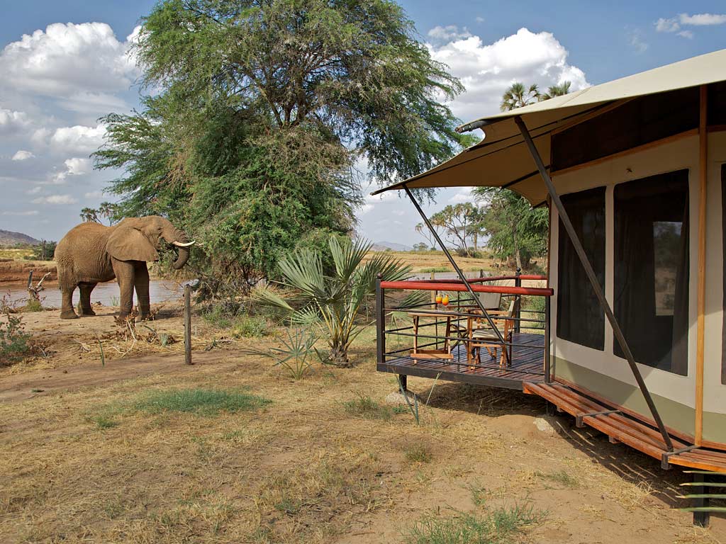 Kenias Norden - Safari abgeschieden erleben ab 1140€
